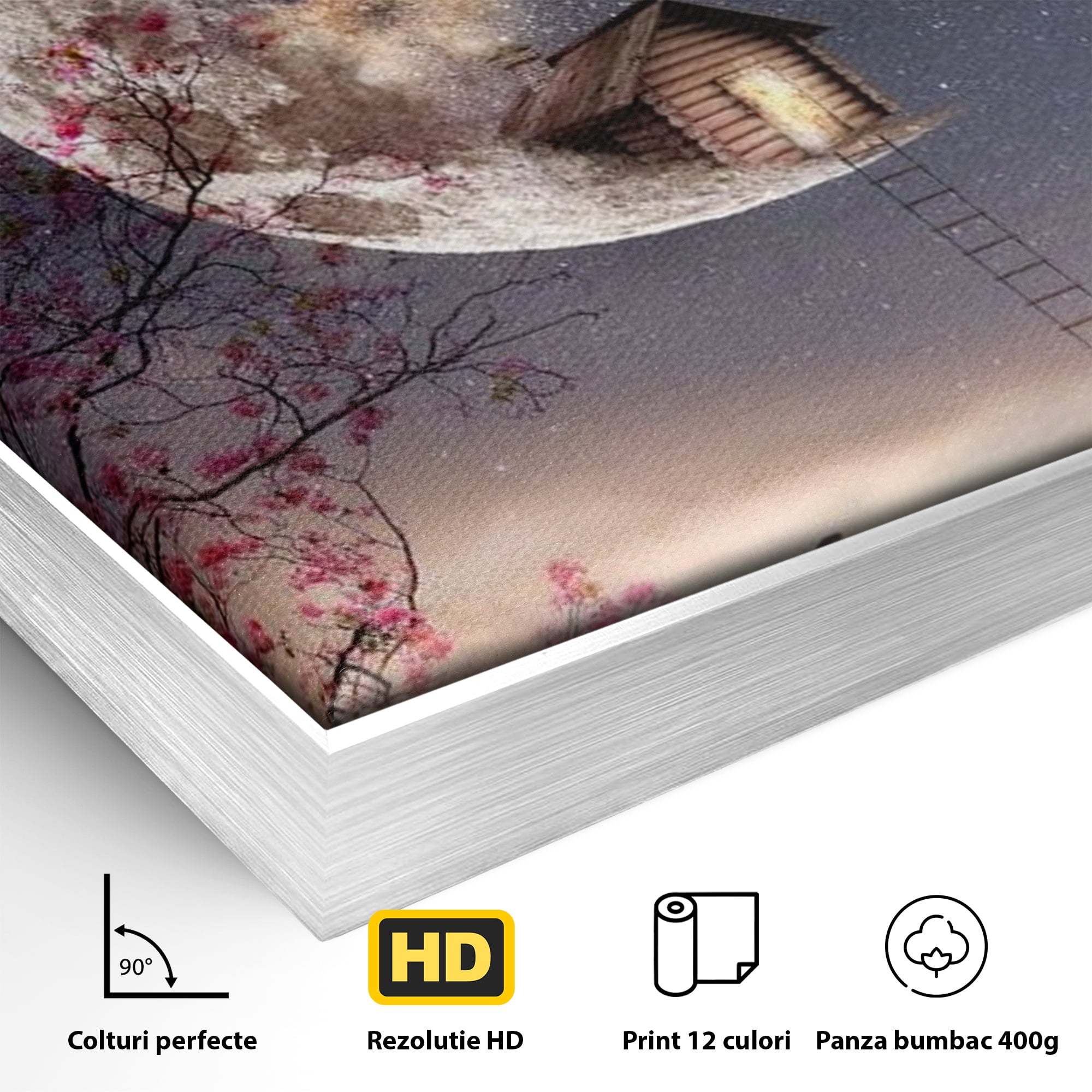 Detaliu al suprafetei: ilustratie digitala cu casa pe luna, in rama de aluminiu argintiu